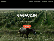 Tablet Screenshot of gagauz.in